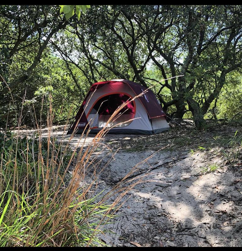 Coleman 4 Person Skydome Camping Tent Meijer