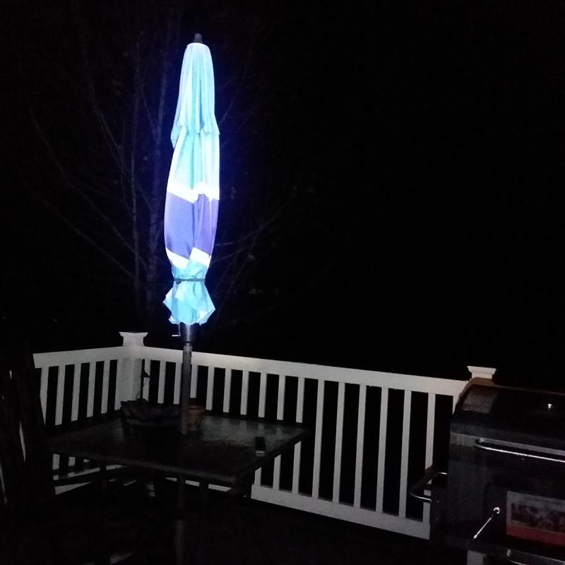 Photo submitted with review of product
