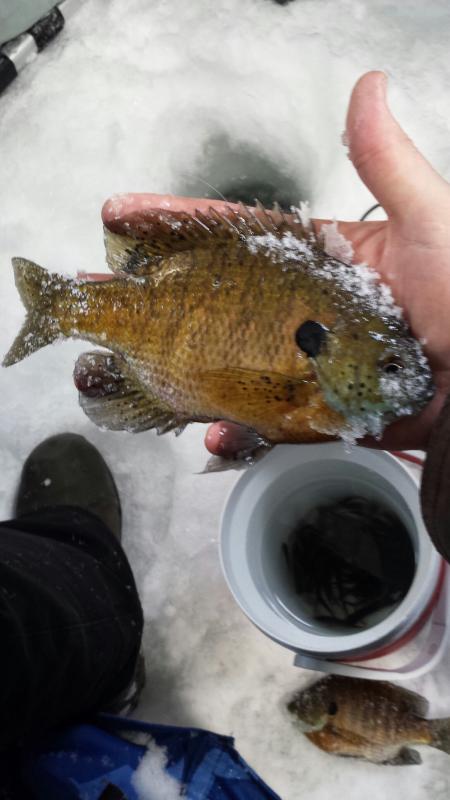 Photo - commentaire&nbsp;5.