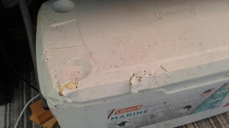 After bear tried to get the lid open.