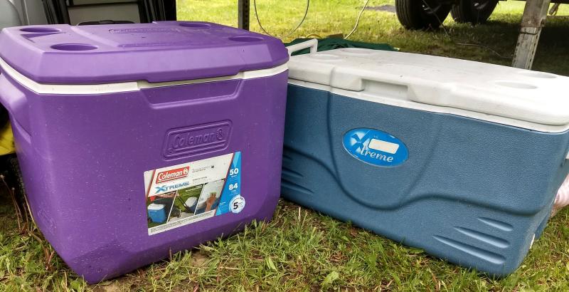 purple coleman cooler