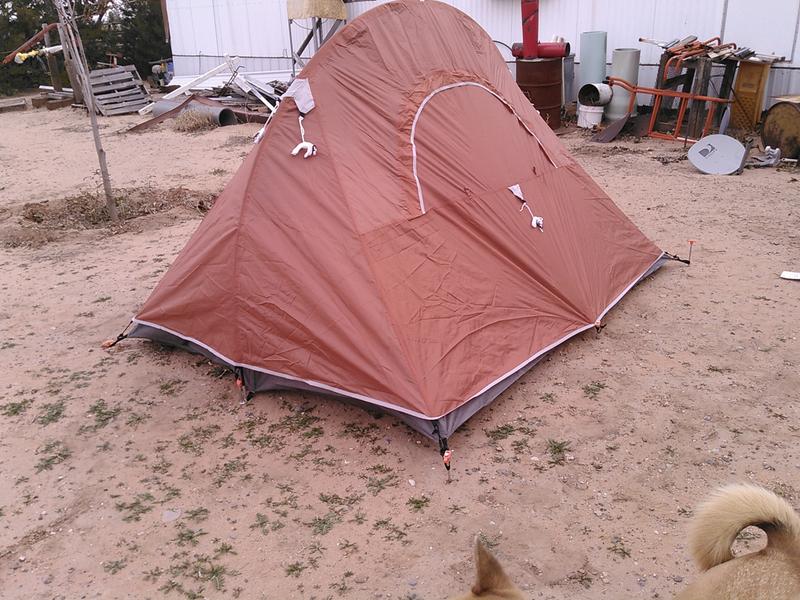 coleman hiking tent