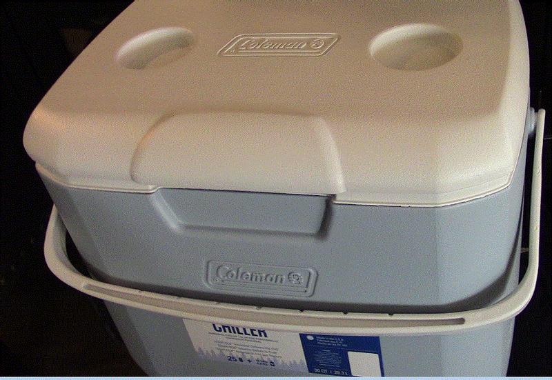 Chiller™ 16-Quart Portable Cooler