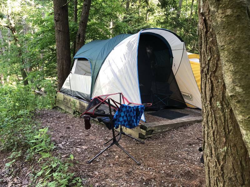 4-Person Cabin Tent with Screened Porch, Evergreen | Coleman