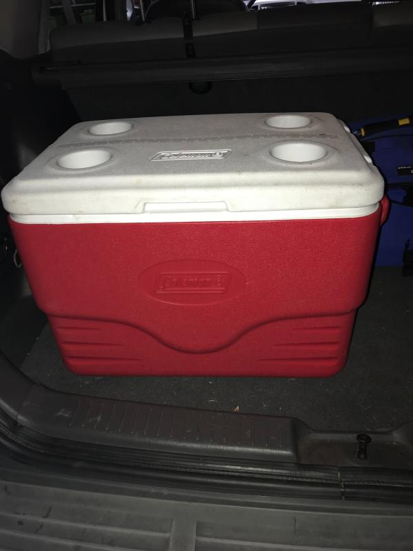 Old Faithful keeping the food safe!!!