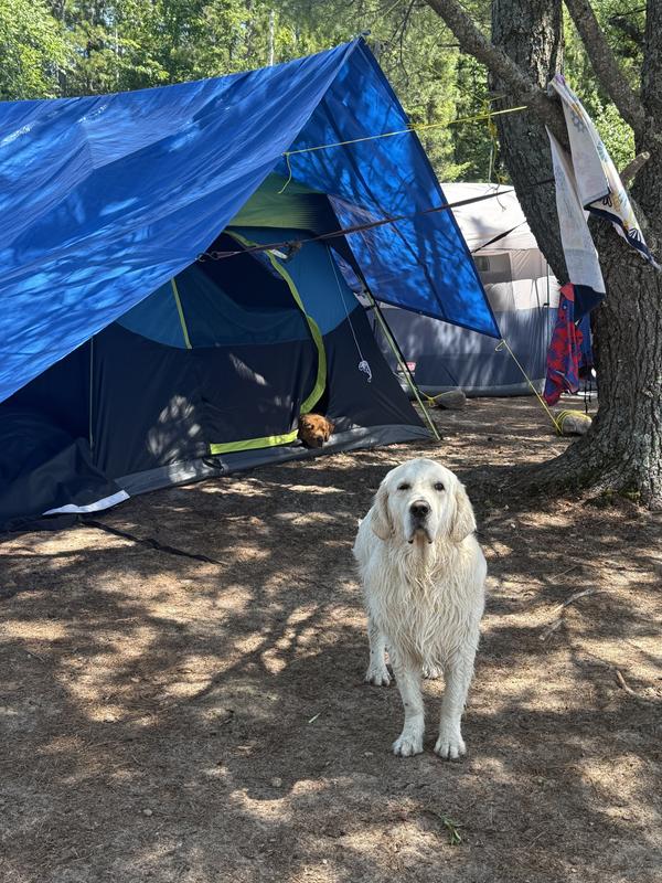 We don’t trust this tent without a tarp.