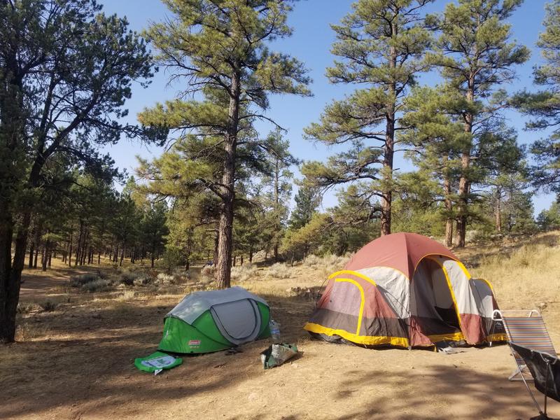 Coleman Instant Setup Tent with Adjustable Rainfly for Easy