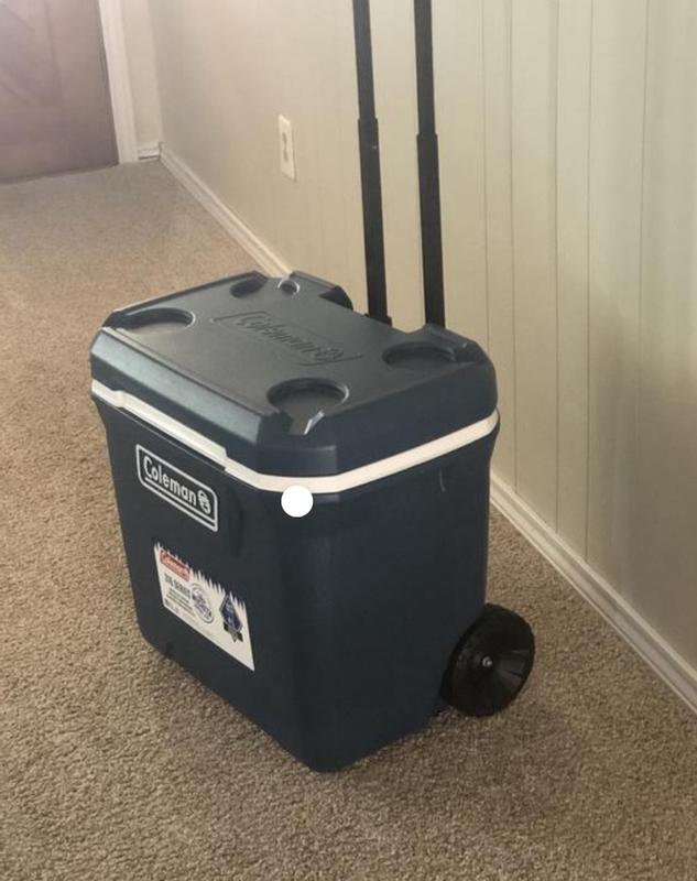 Coleman 316 Series 65-Quart Hard Cooler | Dick's Sporting Goods