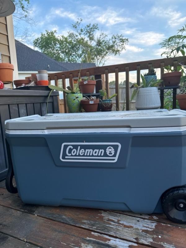 Photo - commentaire&nbsp;2.