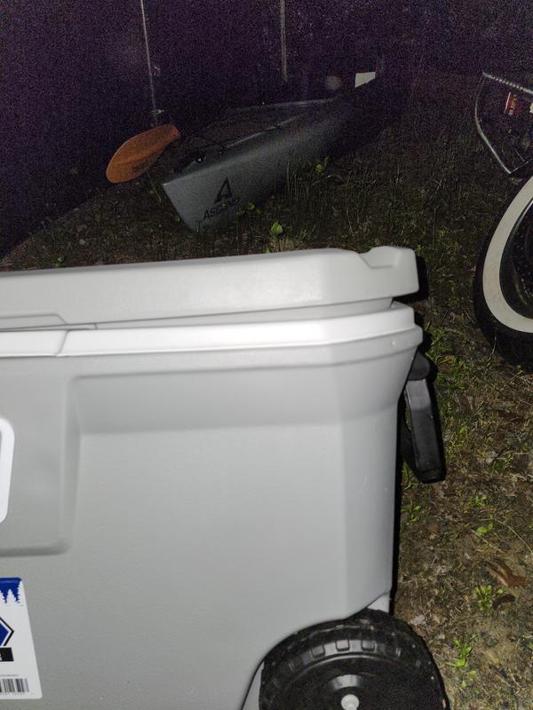 Photo submitted with review of product
