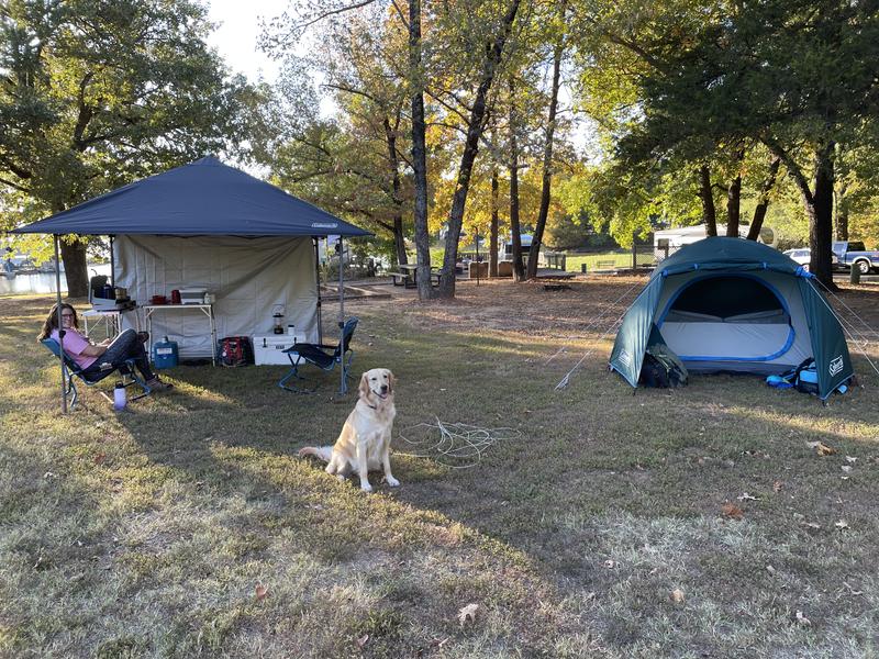 Coleman Skydome 3-Season, 4-Person Easy Set-Up Camping Dome Tent w/ Rain  Fly, Vestibule, E-Port & Carry Bag