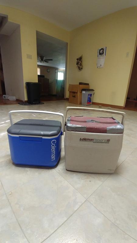 coleman 16 qt cooler