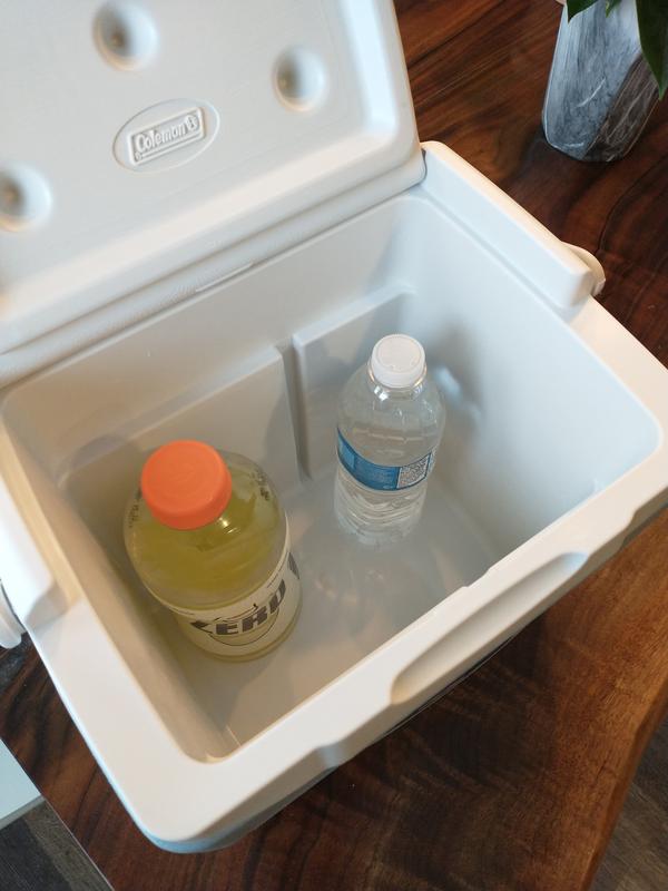 9qt cooler best sale