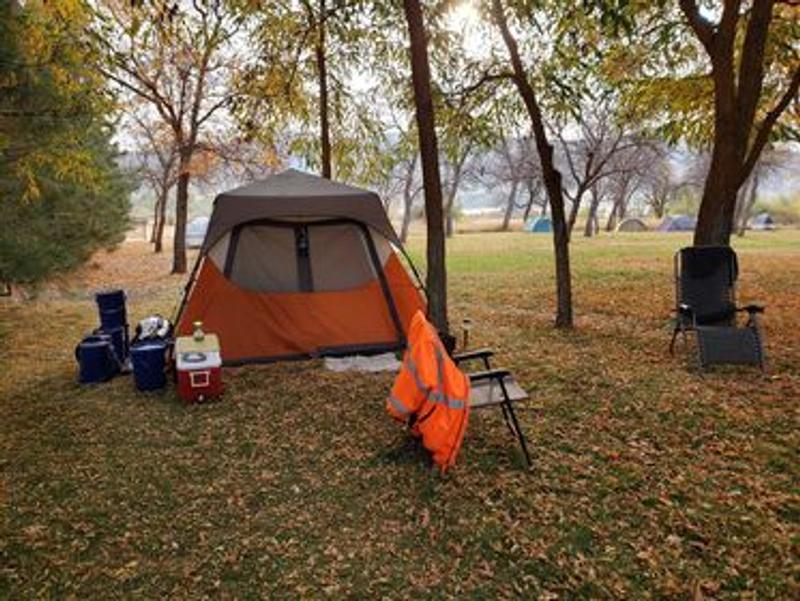 Coleman instant cabin clearance tent