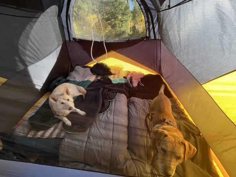 Coleman Peak1 Dome Tent: 4-Person 3-Season - Hike & Camp