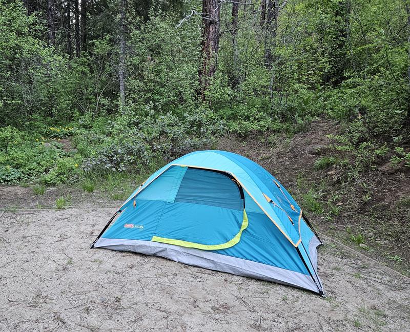 Coleman shop kids tent