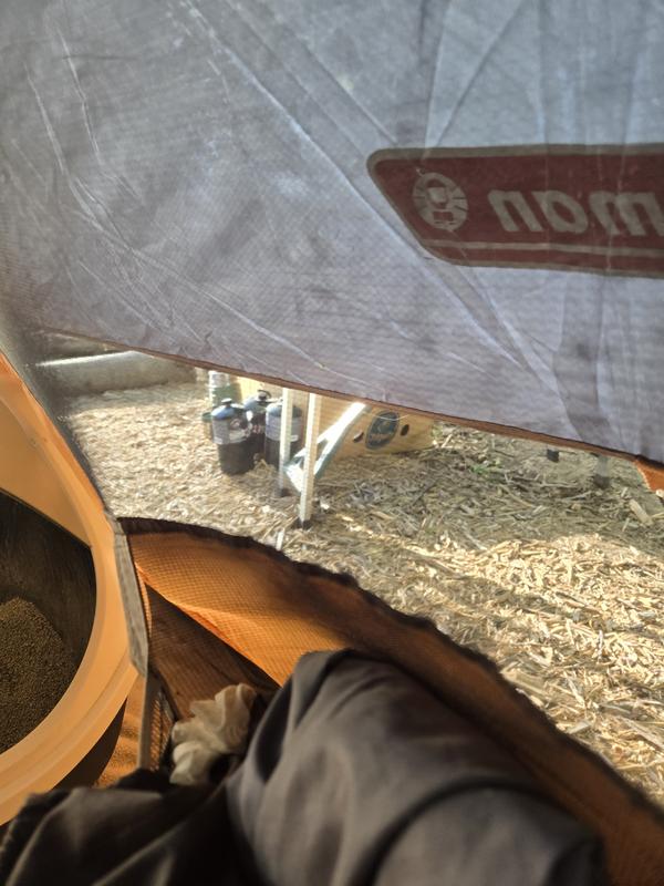 The Taj Mahal of tents