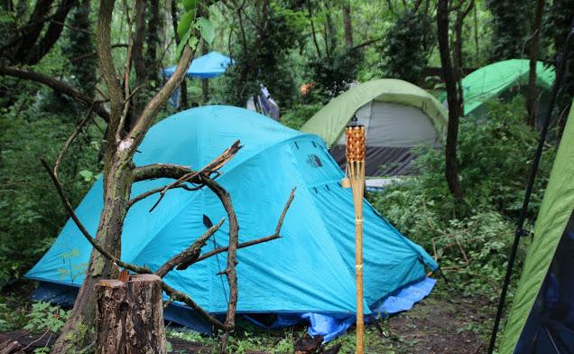 Racoons unzipped our tent and duffle, but couldn't crack the Coleman coolers.