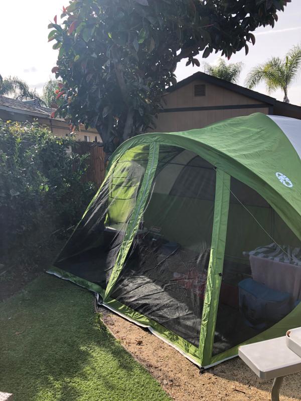 Coleman evanston 8 screened tent best sale