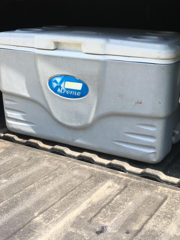 Photo submitted with review of product