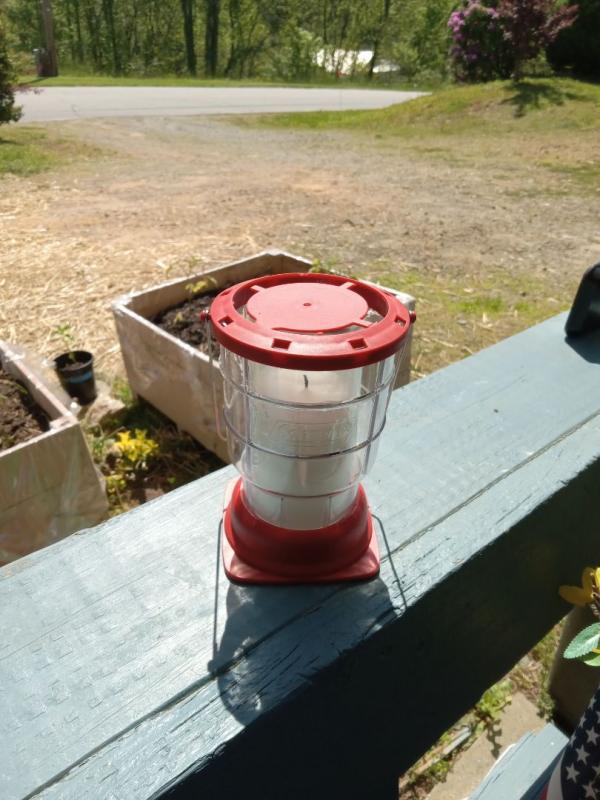 Photo submitted with review of product