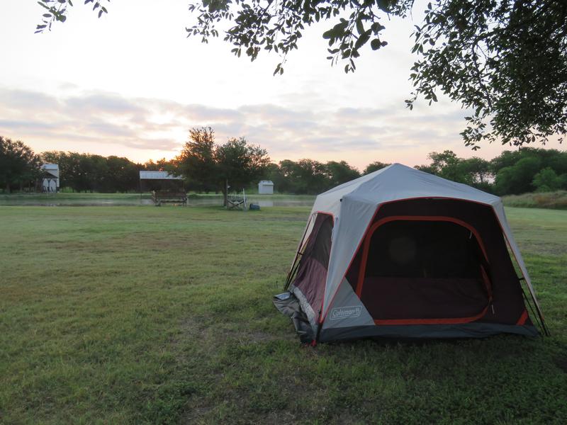 Skylodge™ 6-Person Instant Camping Tent, Blackberry