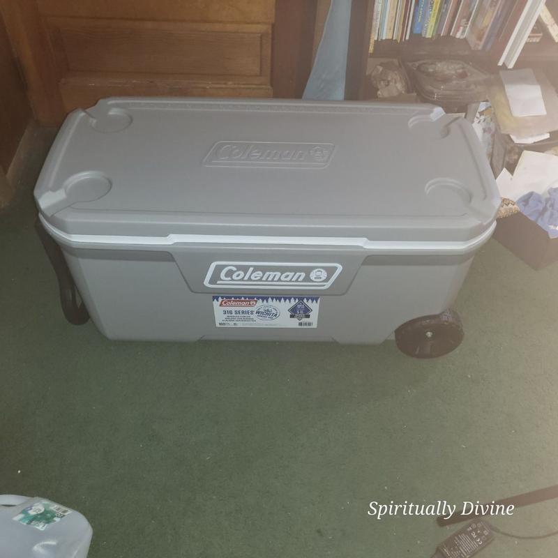 Coleman cooler hot sale shelf