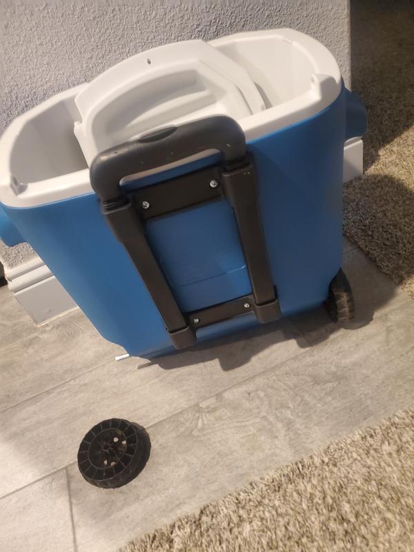 Coleman 28 quart cooler hot sale wheeled