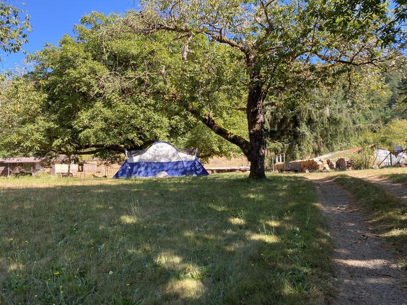 Montana elite tent with rain fly on