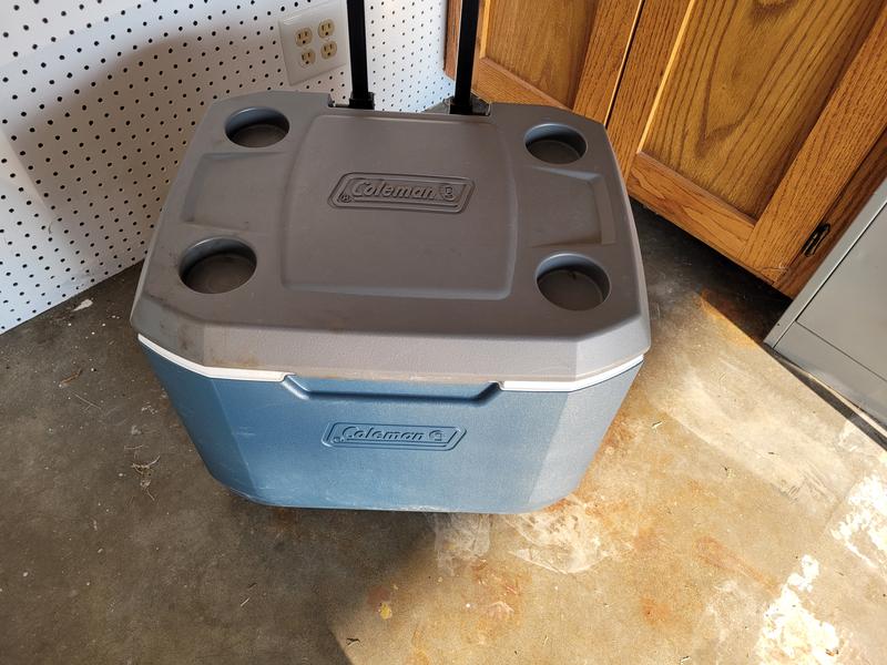 Coleman 50 hot sale quart cooler