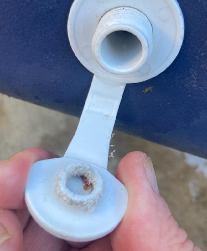 Photo submitted with review of product