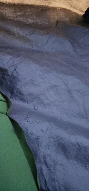 Photo - commentaire&nbsp;2.