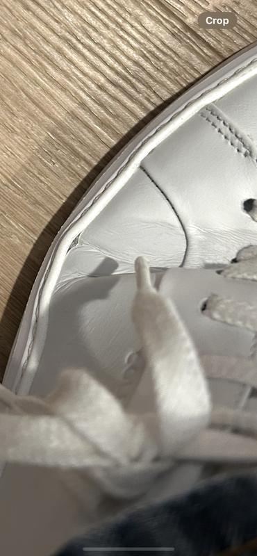 Men's GrandPrø Topspin Sneakers in Beige Or Khaki | Cole Haan