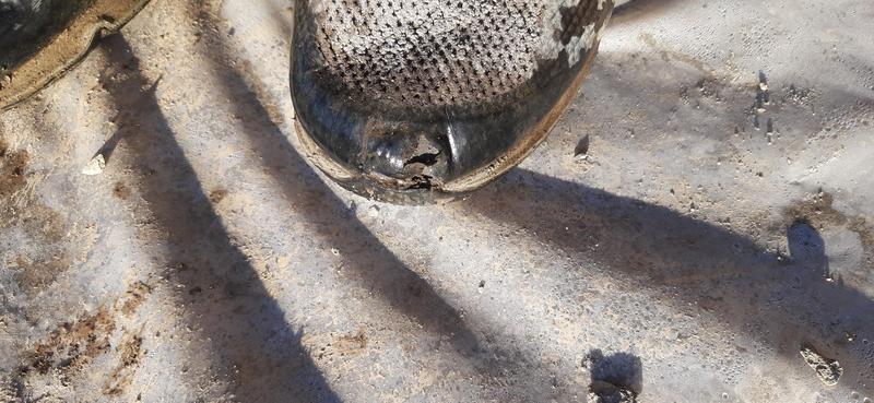 Photo submitted with review of product