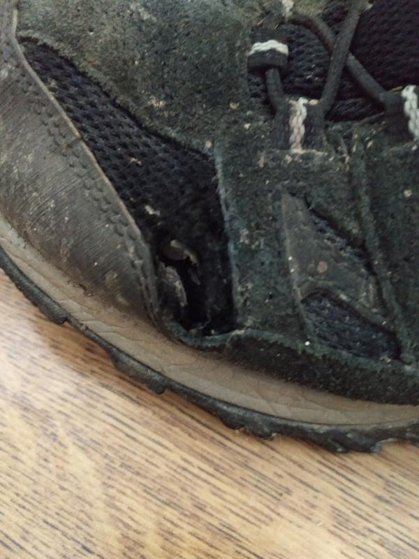 front flex outside area of shoe left