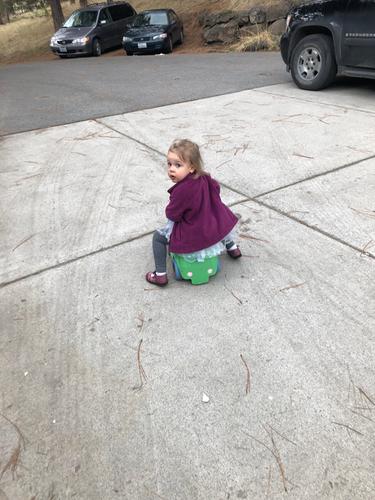Photo submitted with review of product