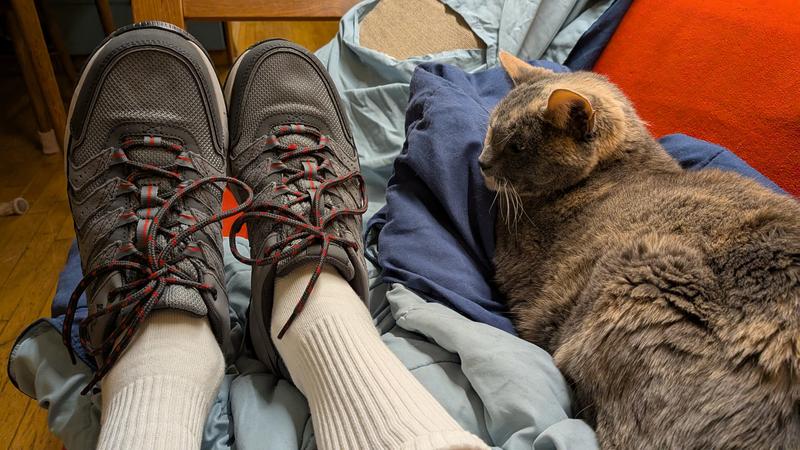 9.5 size shoe, 13 size cat