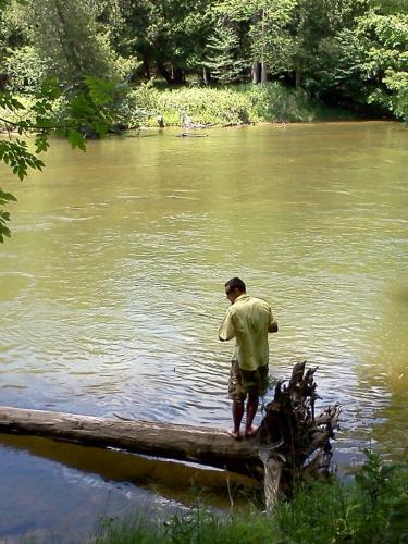 Fishing Manistee River in MI, had on the yellow Timiami shirt
