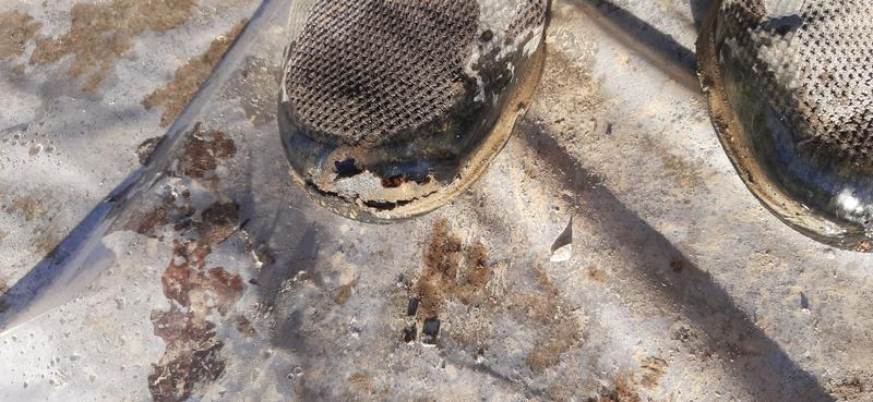 Photo submitted with review of product