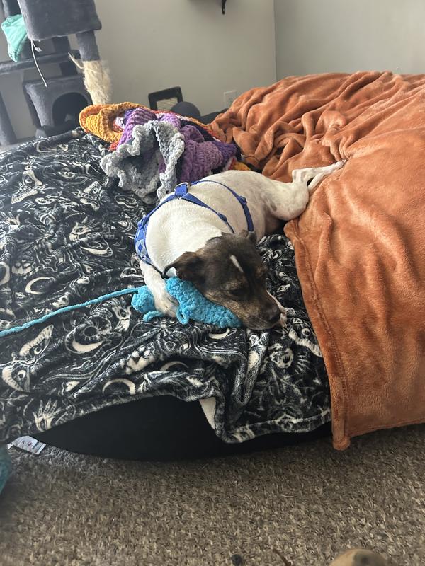 My big Joe’s XL and L