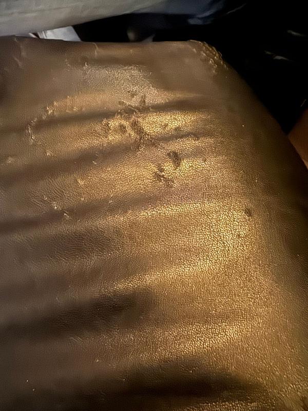Customer photo for "Loved this skirt but it disintegrated!"