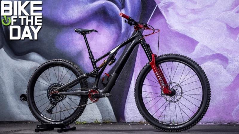 Specialized stumpjumper mullet sale