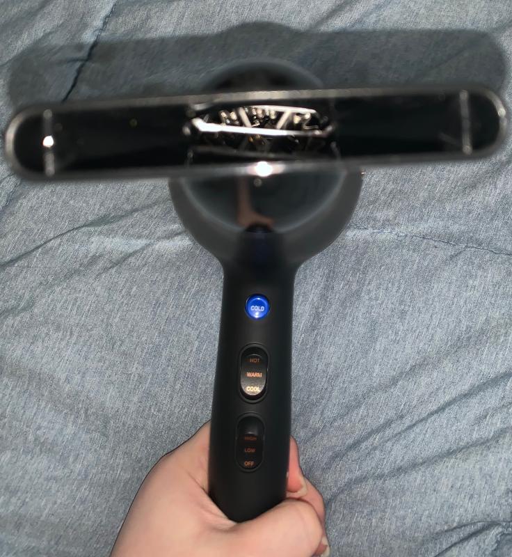 Blue bird blow outlet dryer