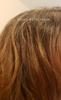 User submitted photo
