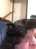 User submitted photo