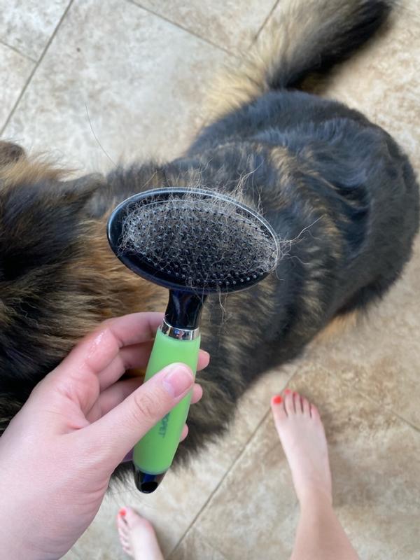 Dog brush deals reviews