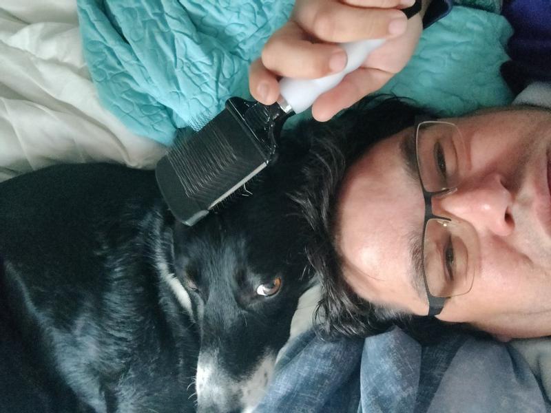 BaByliss PRO PET Small Flex Slicker Brush for Dogs & Cats