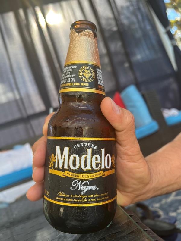 Modelo Negra Mexican Amber Lager Beer, 12 pk 12 fl oz Bottles, % ABV |  Meijer