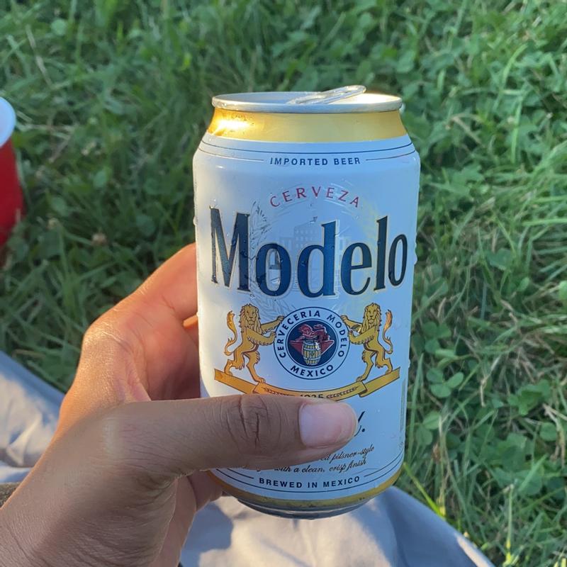 Modelo Especial Mexican Lager Import Beer, 24 Pack, 12 fl oz Aluminum Cans,  4.4% ABV