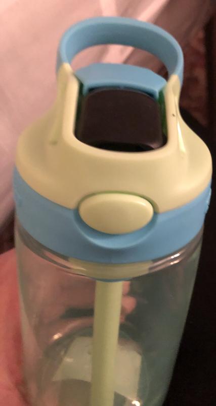 Contigo® Kids Water Bottle with Redesigned AUTOSPOUT® Straw, 14 oz